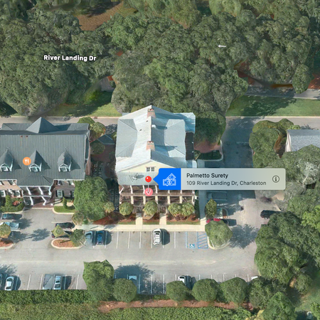 Palmetto Surety Corporation