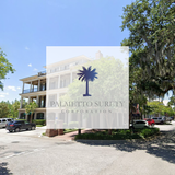 Palmetto Surety Corporation